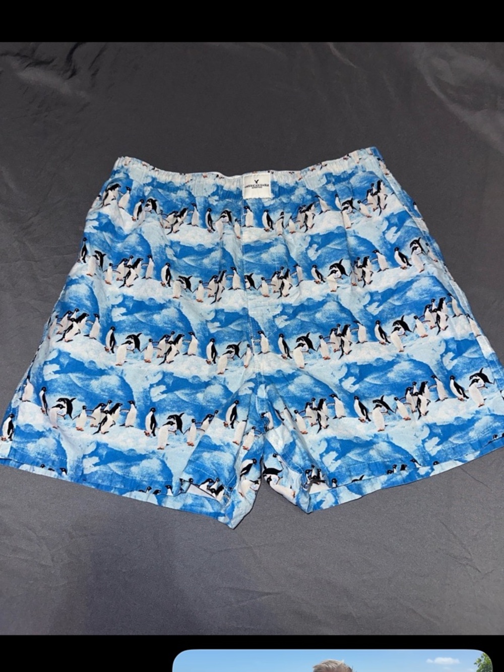 American Eagle Blue Penguin Pajama Lounge Boxer Shorts